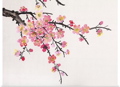 Traditional Chinese Flowers, Plum Blossom