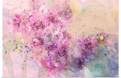 Twig Of Lilac Flowers And Watercolor Splashes
