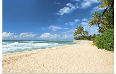 Untouched Sandy Beach With Palms Trees And Azure Ocean