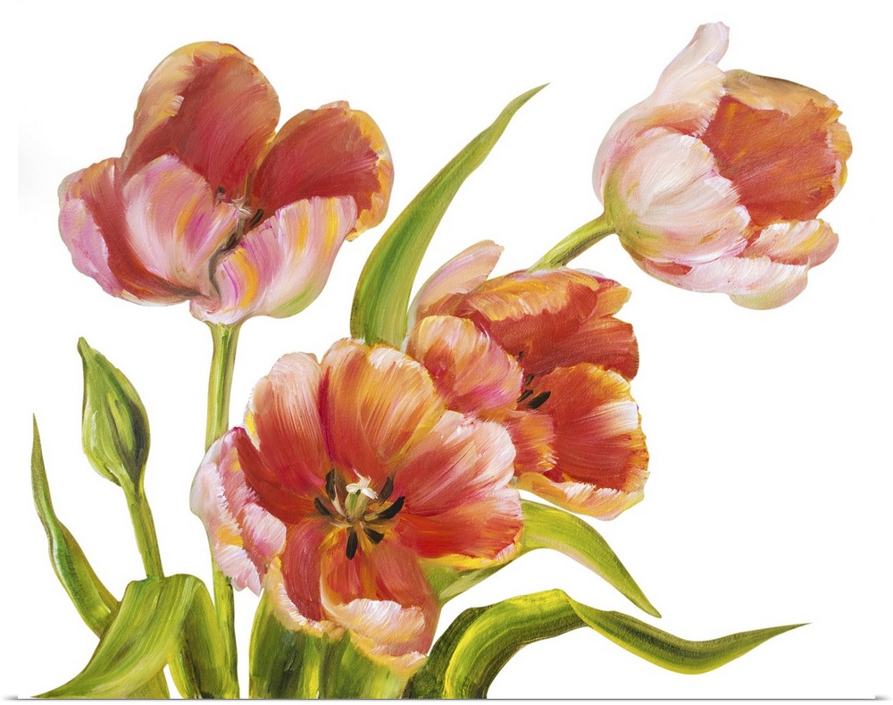 Vintage red tulips isolated on white. Originally an oil painting.