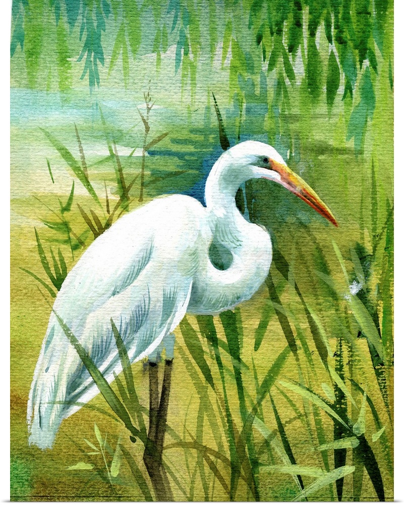 Watercolor heron in water.
