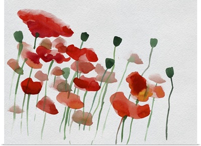 Watercolor Poppies
