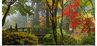 Wooden Bridge At Japanese Garden In Autumn Panorama