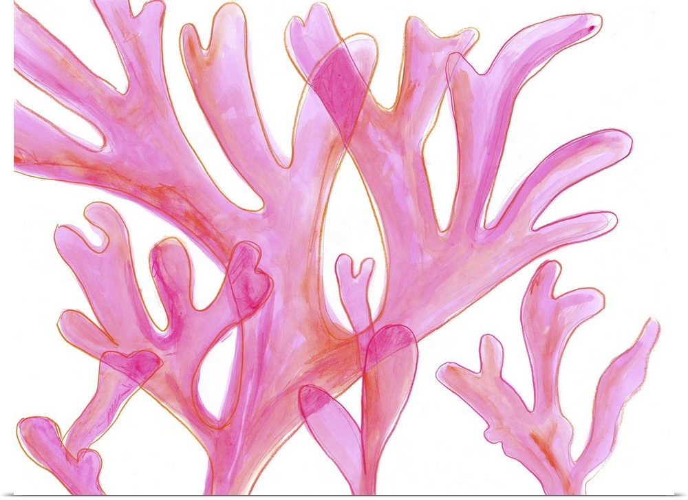 Contemporary artwork of light pink sea kelp with a translucent effect.