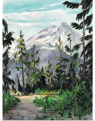 Camping In Rainier's Shadow