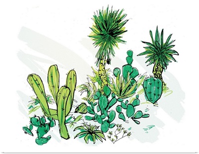 Desert Dome - Cactus Family