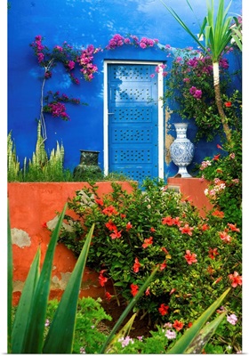 Africa, Morocco, Essaouira, Dar Mimosas Hotel, garden