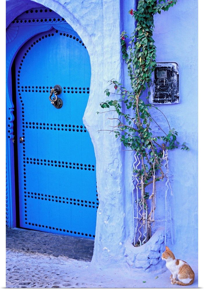 Morocco, Al-Magreb, Morocco, Rif Mountains, Chefchaouen town, a door