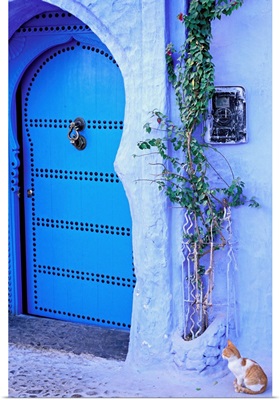Africa, Morocco, Rif Mountains, Chefchaouen town, a door