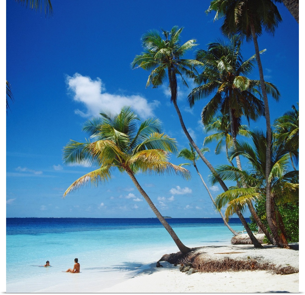Asia, Maldives, Tropical beach
