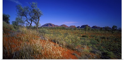 Australia, Northern Territory, Uluru National Park, The Olgas (rock formations)