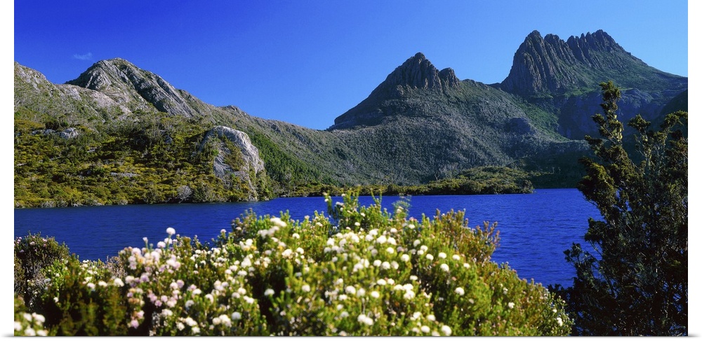 Australia, Tasmania, Lake Dove towards Cradle mountain