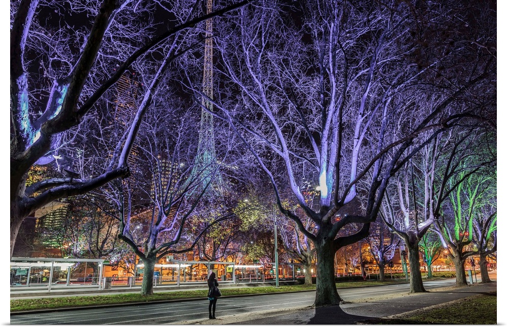 Australia, Victoria, Melbourne, Woman standing on St Kilda road and the Arts Centre Spire through floodlit trees at night.