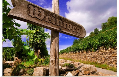 Austria, Lower Austria, Wachau, Vineyards and wine path sign