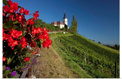 Austria, Styria, Central Europe, Kitzeck im Sausal, Sausaler wine road