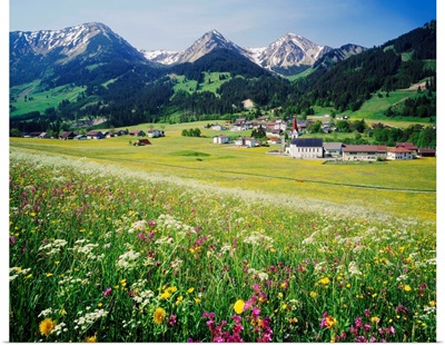 Austria, Tyrol, Tannheimertal valley, Alps, Central Europe, Schattwald