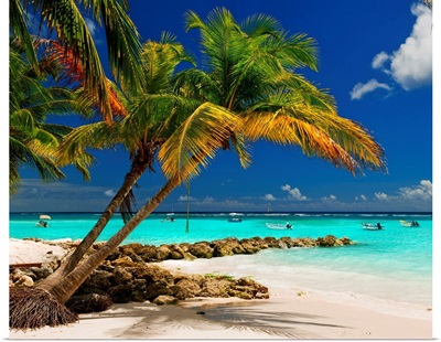 Barbados, Caribbean, Whorthing beach