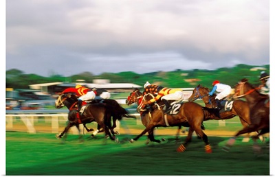 Barbados, Horse race