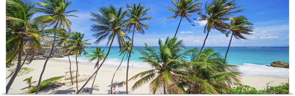 Barbados, Saint Philip, Tropics, Antilles, Lesser Antilles, Windward Islands, Caribbean, West Indies, Bottom Bay beach.