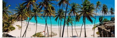Barbados, Saint Philip, Caribbean, Bottom Bay