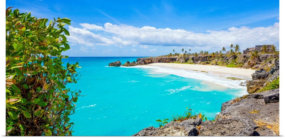 Barbados, Saint Philip, Tropics, Antilles, Lesser Antilles, Windward Islands, Caribbean, West Indies, Harrismith Beach, lo...