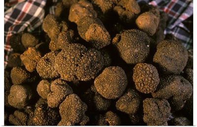 Black truffles by Poddi Farm