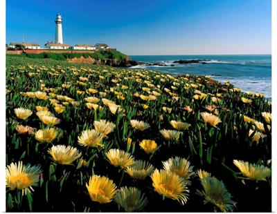 California, Pigeon Point, lighthouse with meadow in foreground
