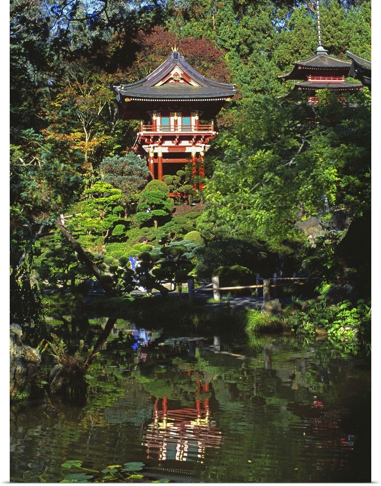 United States, USA, California, San Francisco, Golden Gate Park, Japanese Tea Garden