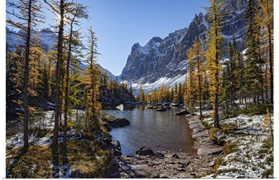 Canada, British Columbia, Lake O'hara Area, Yoho National Park, Rocky Mountains