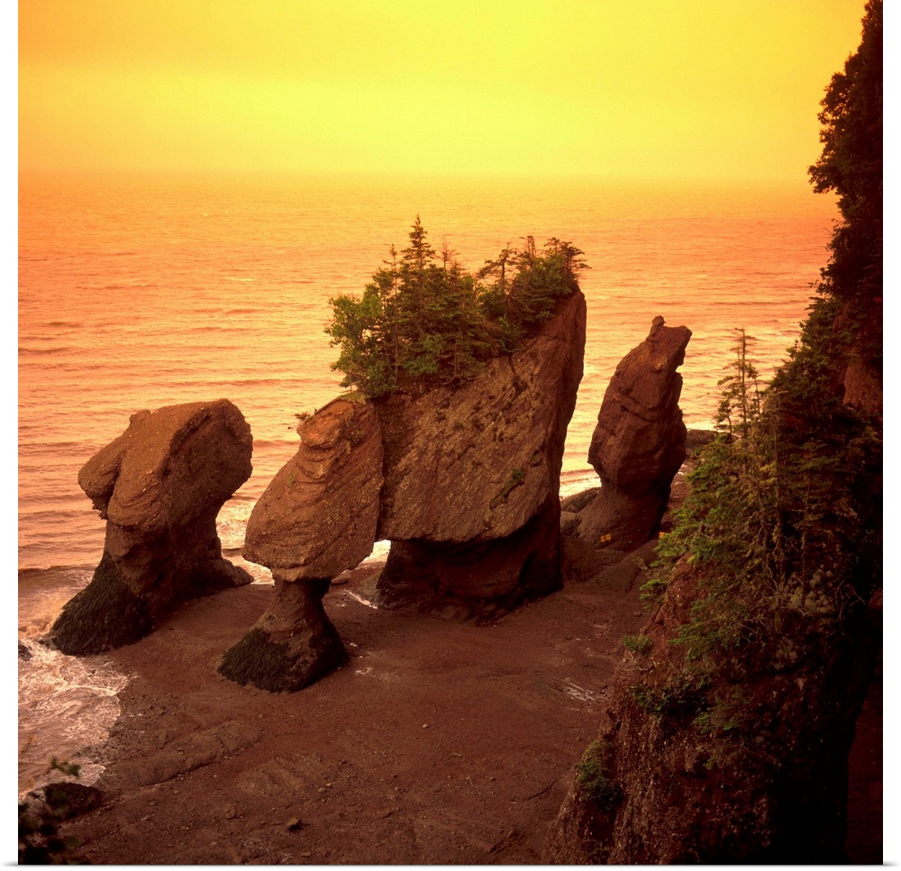 Fundy Bay, New Brunswick, Canada, 2003. Hopewell rocks..Photo;Alberto Biscaro