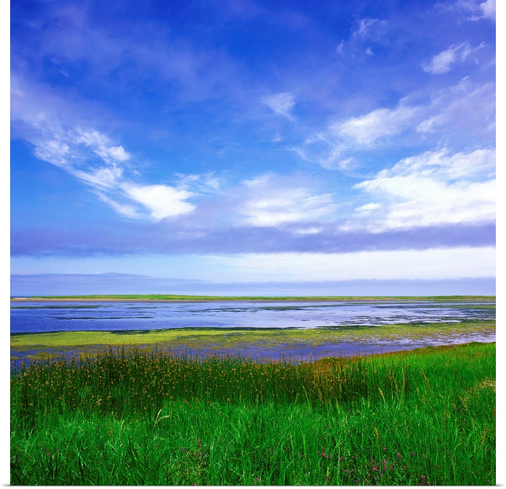 Miscou Island, New Brunswick, Canada, 2003. Landscape..Photo:Alberto Biscaro