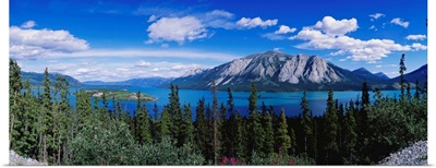 Canada, Yukon, Teslin Lake
