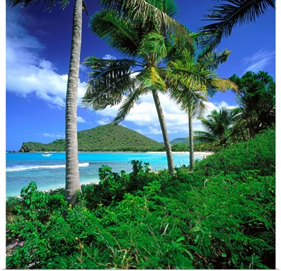 Caribbean, British Virgin Islands, Tortola, Sir Francis Drake Channel