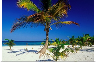 Central America, Mexico, Yucatan, Playa Akumal