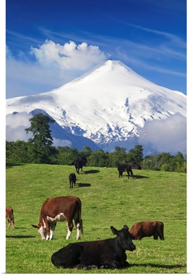 Chile, Araucania, Patagonia, Andes, Pucon, View of Villarrica volcan