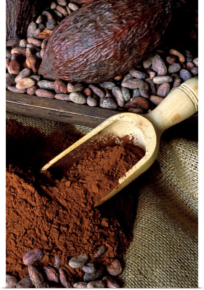 Cocoa fruit, cocoa beans and powder