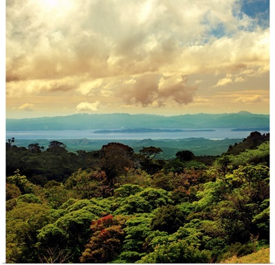Costa Rica, Alajuela, Monteverde Costa Rica Cloud Forest