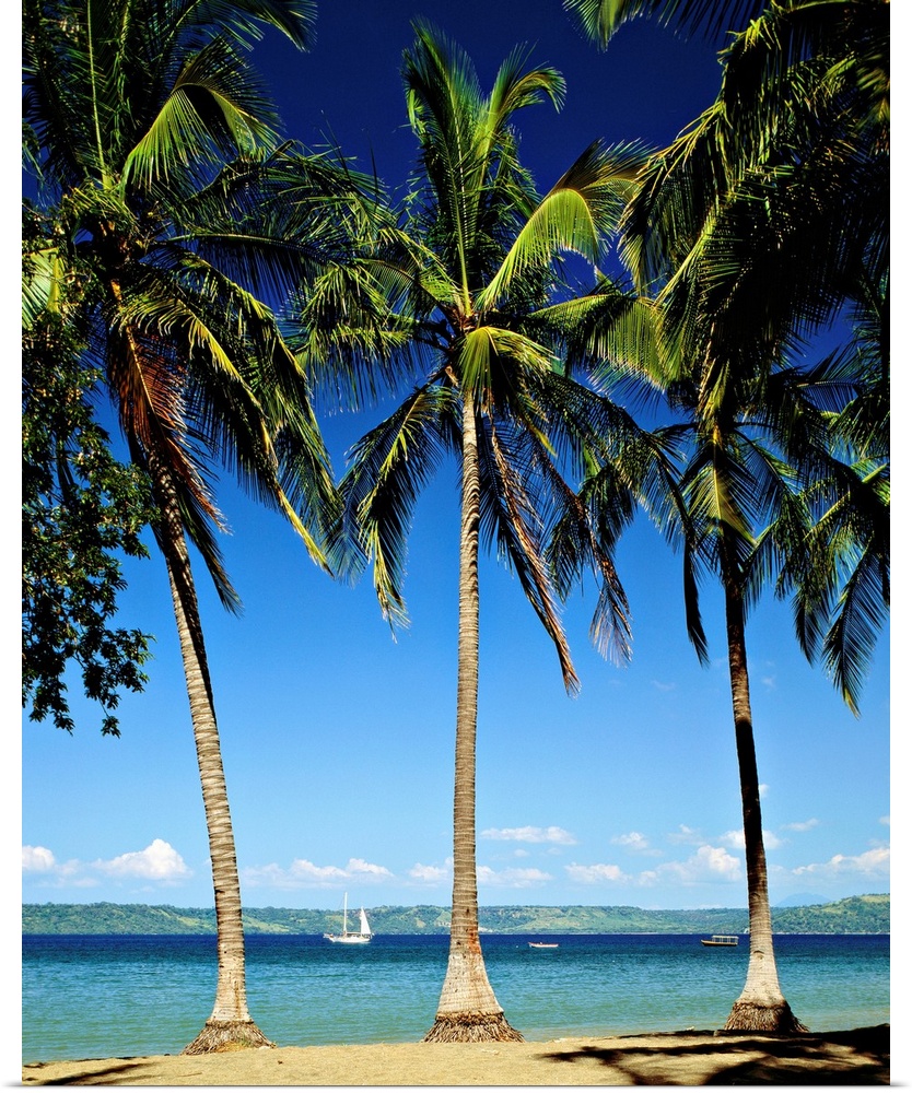 Costa Rica, Guanacaste, Caribbean, Caribs, Travel Destination, Playa Panama Beach