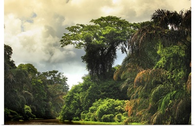 Costa Rica, Limon, Tortuguero National Park