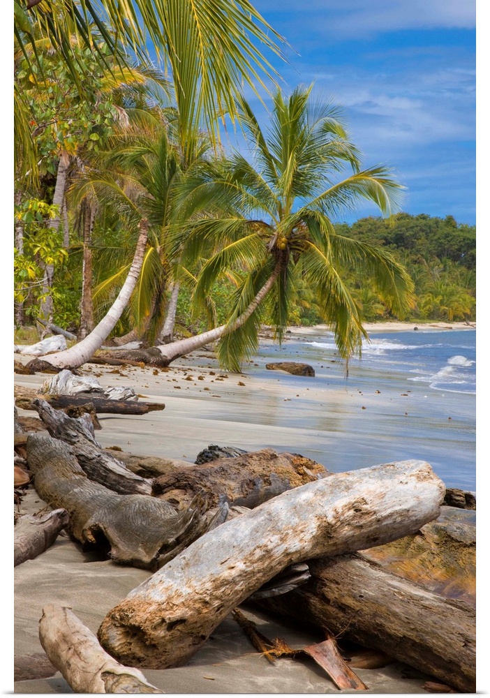 Costa Rica, Limon, Tropics, Caribbean sea, Cahuita National Park, Beach