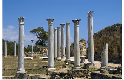 Cyprus, Famagusta, Salamina, ancient Roman town