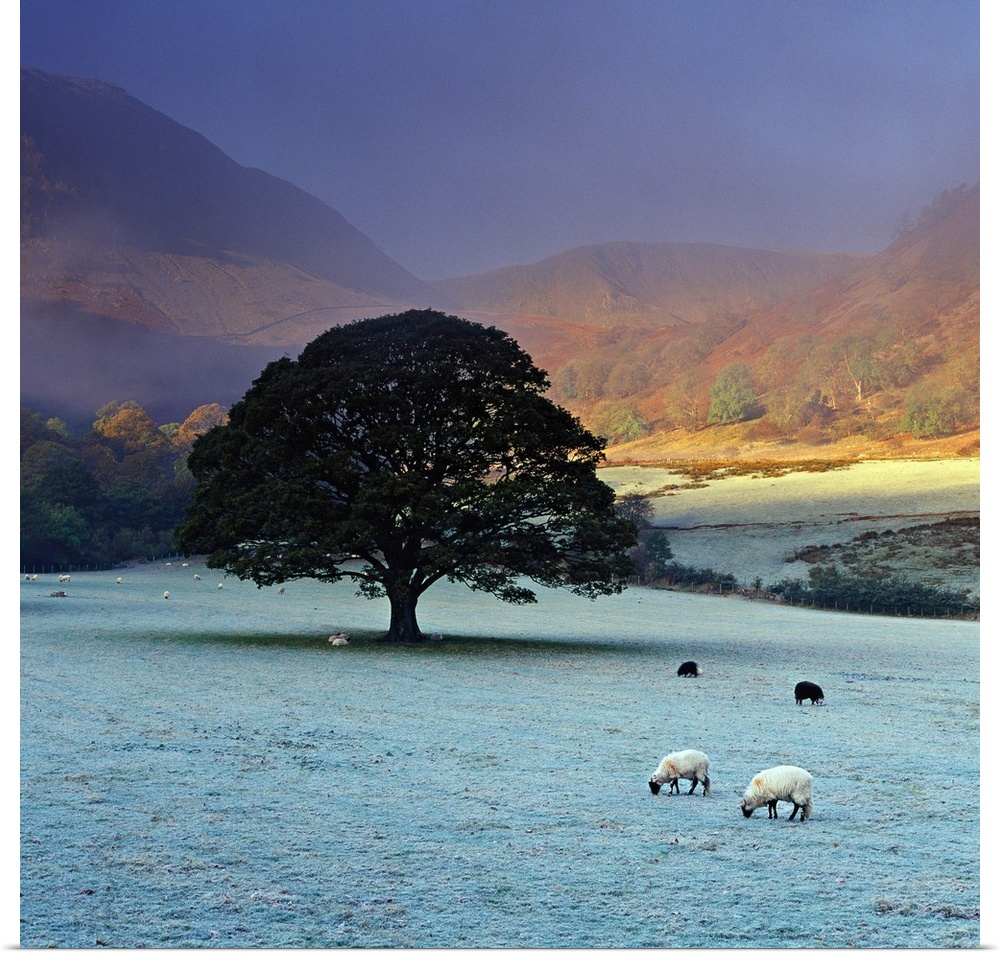 England, Cumbria, Great Britain, Lake District, Dawn