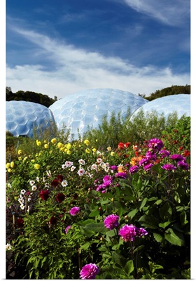England, Great Britain, Cornwall, St Austell, The Eden Project