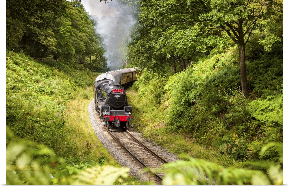 UK, England, Great Britain, North York Moors National Park, North Yorkshire, Steam train on the North Yorkshire Moors Rail...