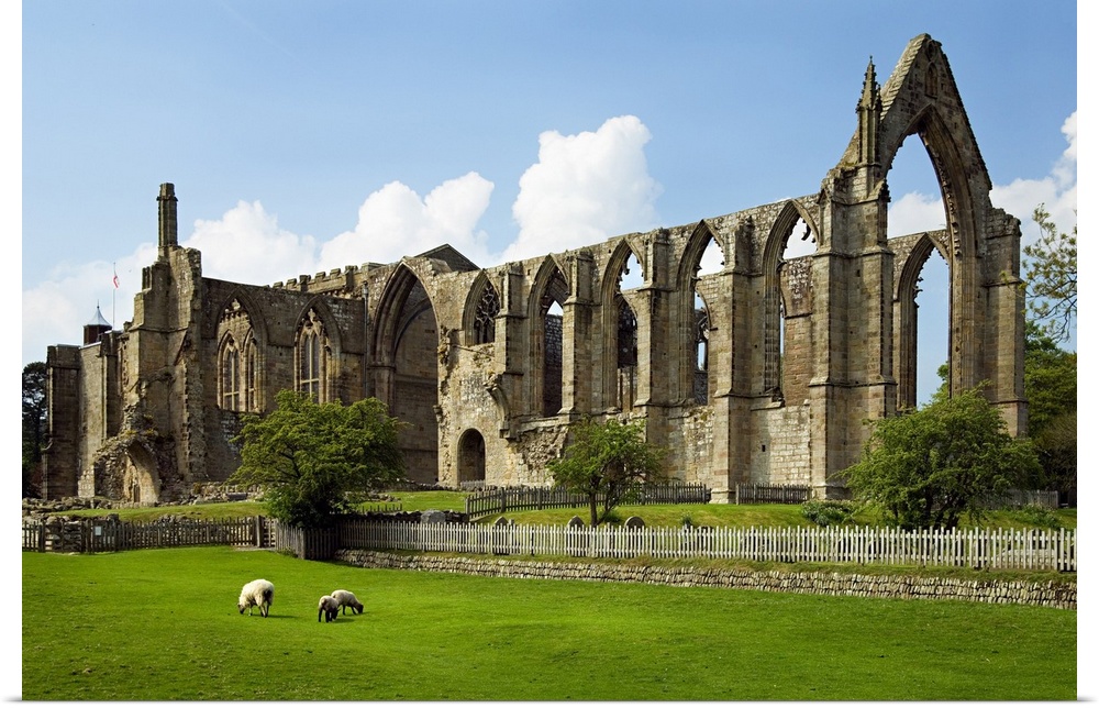 United Kingdom, UK, England, Yorkshire, Yorkshire Dales National Park, Bolton Abbey, old ruin of a church