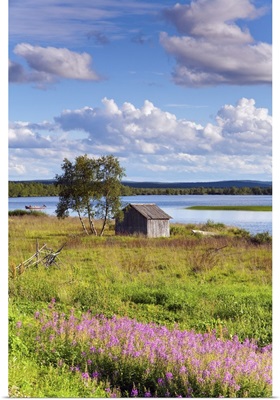 Finland, Lappi, Idyllic landscape near Kilpisjarvi, Arctic Circle, Lapland