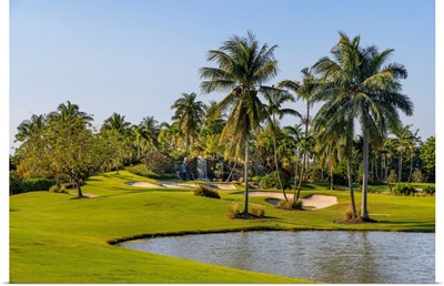 Florida, Boca Raton, Golf Course With Palm Trees