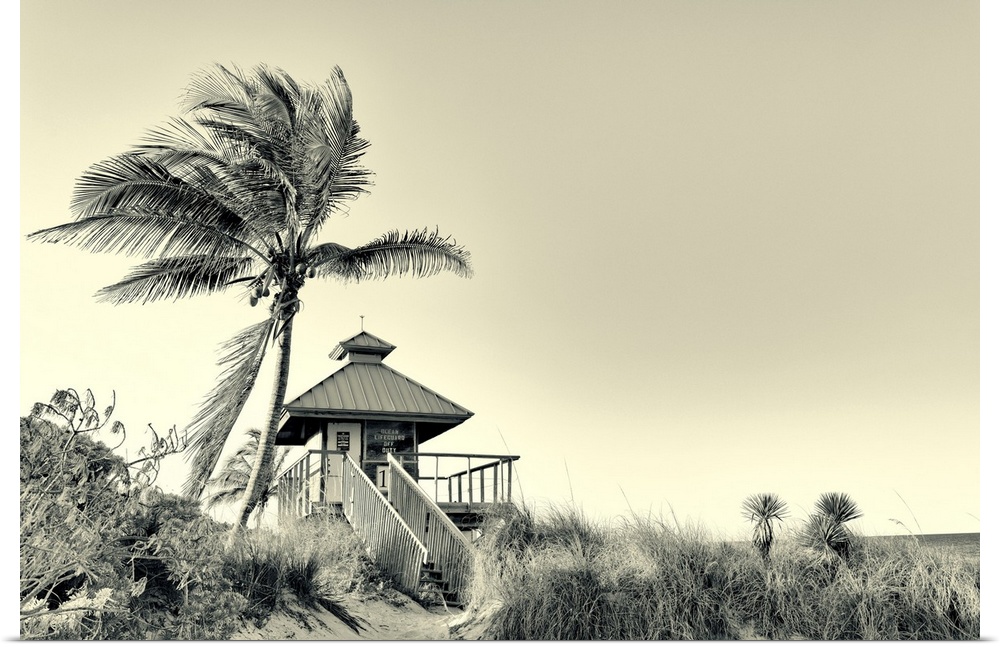 Florida, Boca Raton, lifeguard tower with palm tree at the beach.