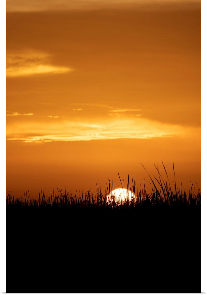 Florida, Boynton Beach, Arthur R. Marshall Loxahatchee National Wildlife Refuge at sunset.