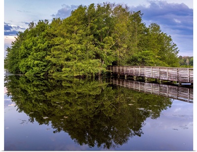 Florida, Boynton Beach, Green Cay Nature Center And Wetlands, Wooden Footpath